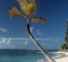 Beach View, Palm Island, Grenadines. by JohnINPIX