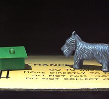 Doghouse by bryanhibleart