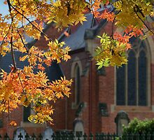 Autumn church by Robyn Selem