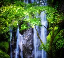 Enlightening Falls by LandLimages