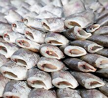 Something Fishy by Kerry Dunstone