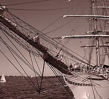 Sail Boston by John Kapusta