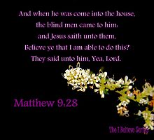 Matthew 9:28 - BELIEVE ye that I am able to do this? by aprilann