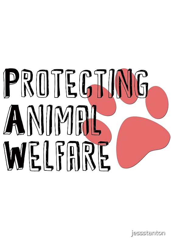 Animal Welfare: Posters | Redbubble