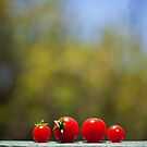 Tomato Family by Rich Soublet