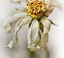 Bad dream... by Bob Daalder