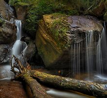 Hidden Treasure. by Warren Patten