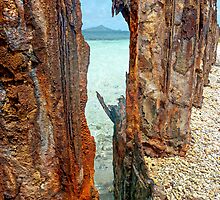 man versus nature by globeboater