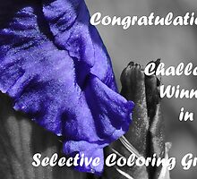 Selective Coloring Challenge Winner Banner by MissyD
