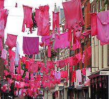 "Oops, there was something RED in the laundry..." by Hans Bax