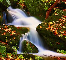 MOUNTAIN STREAM, AUTUMN by Chuck Wickham