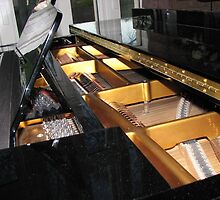 The Heart of a Grand Piano by BlueMoonRose