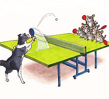 Chinchilla Ping Pong by Stuart F Taylor
