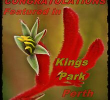Kings Park Perth Banner by myraj