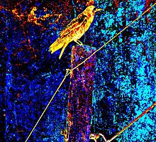 Crow On A Wire X3 by SianStargazer