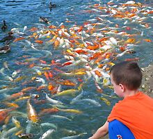 Koi Camaraderie? Straight From The Camera... by artwhiz47