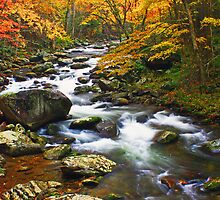 AUTUMN IN TREMONT by Chuck Wickham