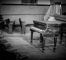 WAITING FOR THE PIANIST by Diane Peresie