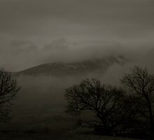 Engulfed by Lou Wilson