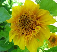 Yellow slice of happiness by MarianBendeth