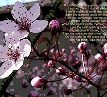 FOR MY SISTER 2 by Tammera