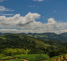 Tea Country by M-A-K
