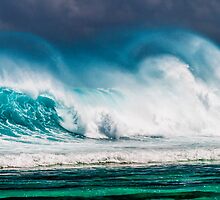 Rough 'n Tumble by Karen Willshaw