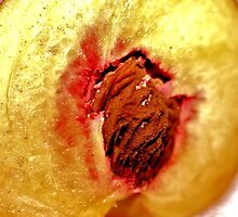 The Heart of the Peach by aprilann