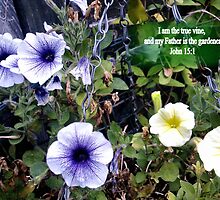 Clematis in basket. MESSAGE OF THE CREATOR. TEXT/BESPOKE by Shoshonan