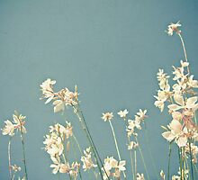 Blue Monday by Cassia