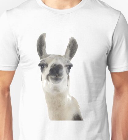 llama merch