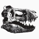 T-Rex Halfdot Skull by mertalou