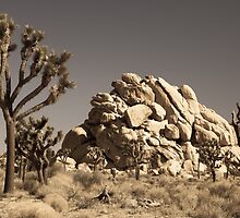 Dramatic Mojave Desert Panorama by Nickolay Stanev