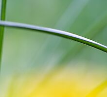 Abstract by SylBe