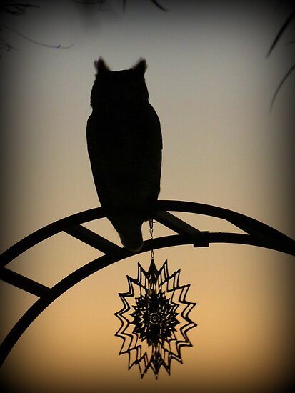 Great Horned Owl ~ Sunset Silhouette by Kimberly P-Chadwick Great Horned Owl ~ Sunset Silhouette by Kimberly P-Chadwick