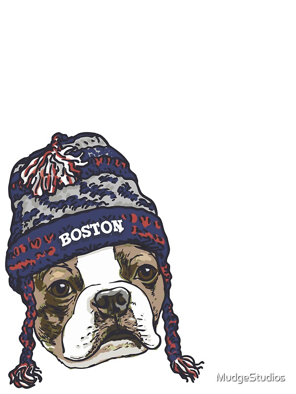 beanie boo boston terrier