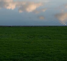 Optical confusion at Westerpark, Amsterdam by Pim Kops