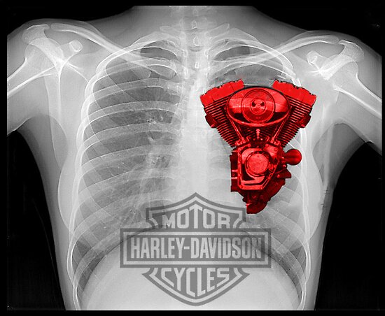Harley Heart