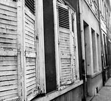 Windows of Lille by Juan Saravia
