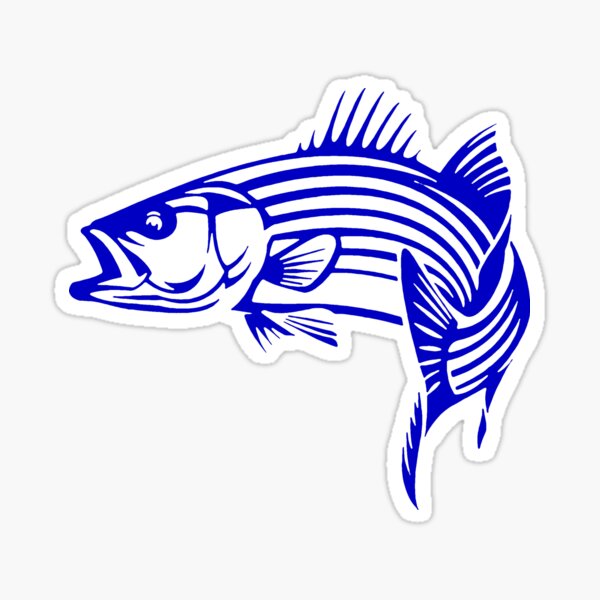 Striped Bass Gifts Merchandise Redbubble