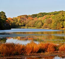 Fall Reflections by savvysisstudio