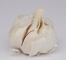Garlic by Carolyn Clark