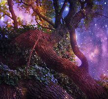 High in the Branches. by Heather Goodwin
