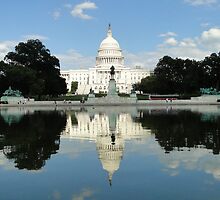 A Capitol Reflection by Barrie Woodward