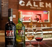 Portugal. Porto. Tasting Port Wine at the House of Calem. by vadim19