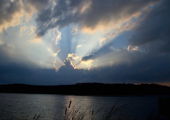 Rays From Heaven