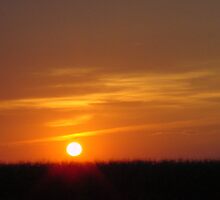 quench the fire by Penny Rinker