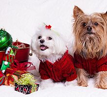 Best Friends by susan stone