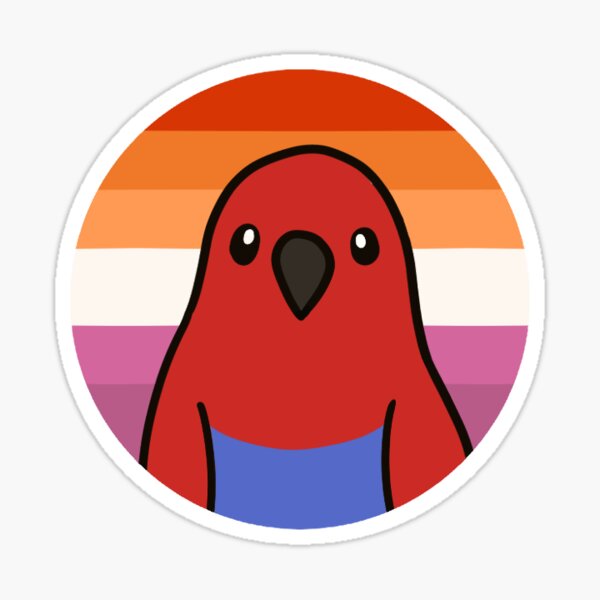 Pride Parrot Lesbian Eclectus Sticker By Birbthings Redbubble