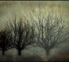 Moments in Time by Annie Lemay Photography